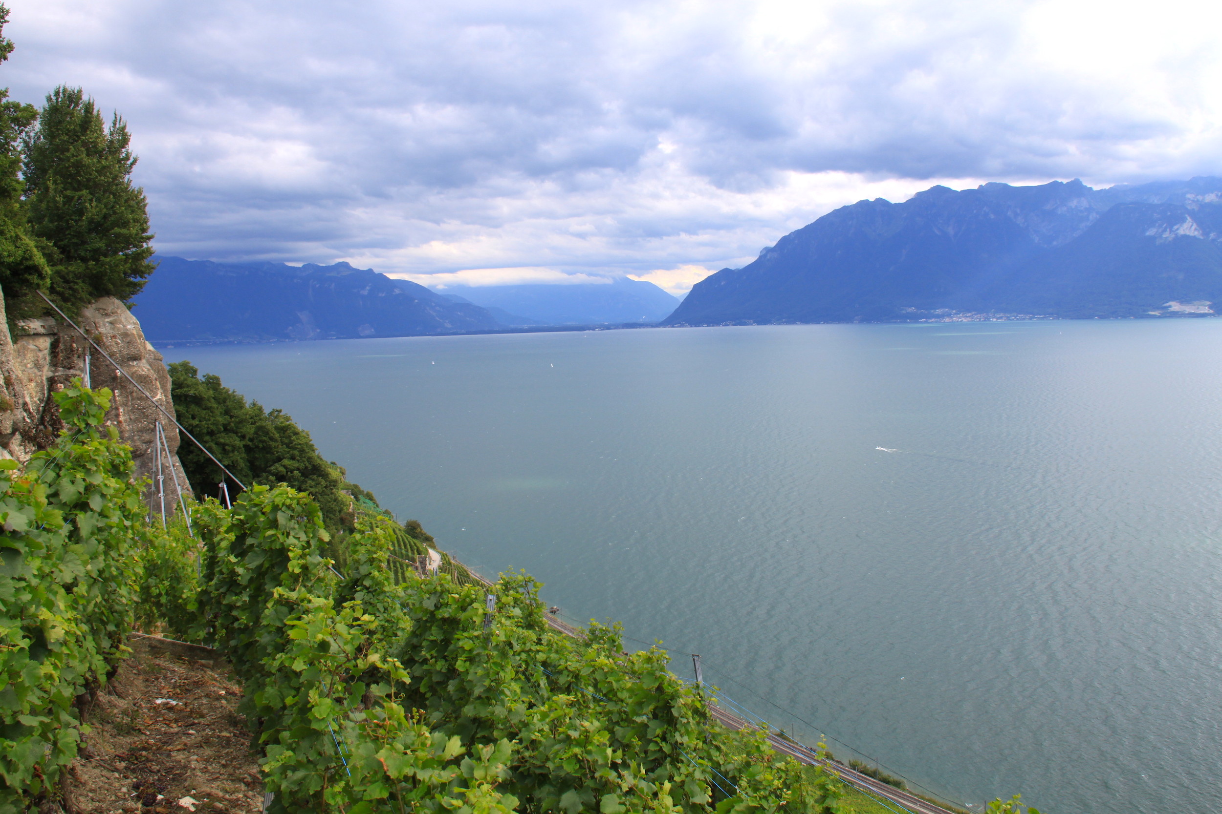 géologie vins vaudois