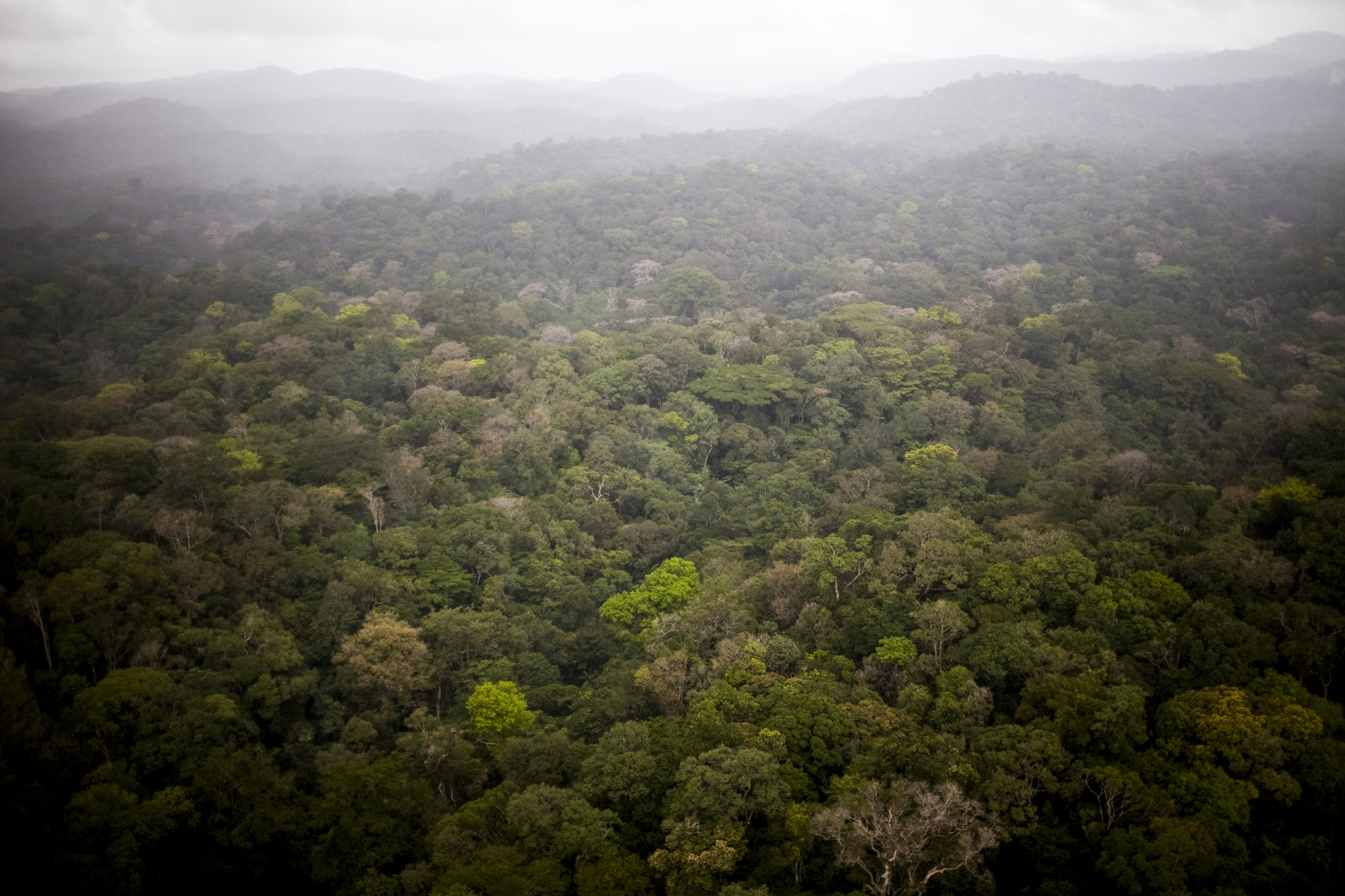 Guyane or Ulyces