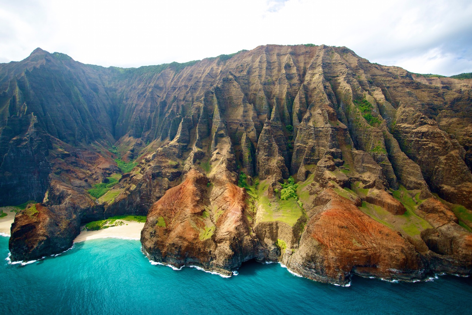 syngenta kauai ogm