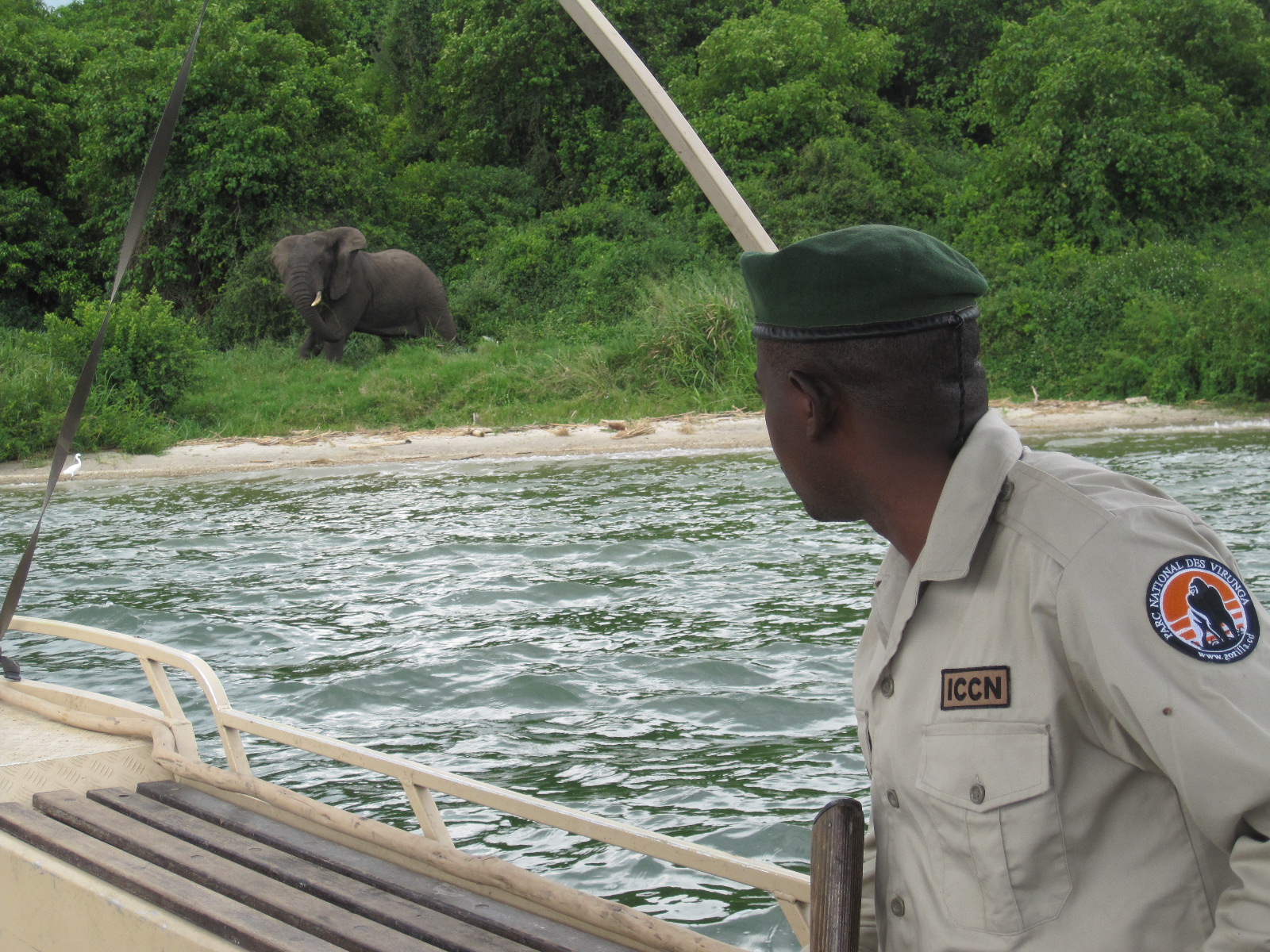 virunga ulyces