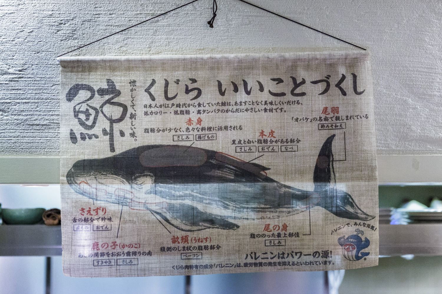  japon baleine